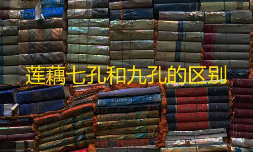 DY公益直装全防封免root莲藕七孔和九孔的区别